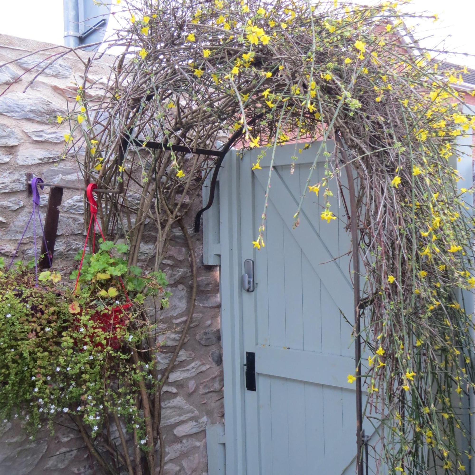 Frog Palace - Secure Parking-Outside Area-Topsham-Exeter-Beach-Chiefs-Wifi Екстериор снимка